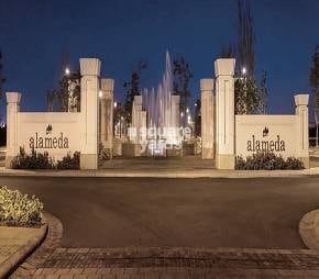 DLF Alameda