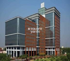 Dlf Cyber City