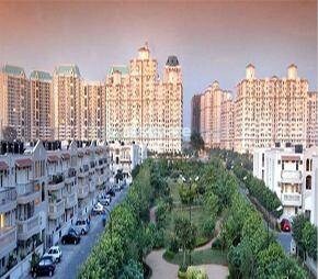DLF Exclusive Floors Video