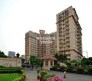 DLF Oakwood Estate Flagship Image
