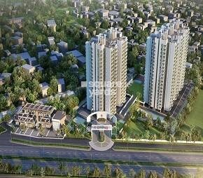 GLS Avenue 81