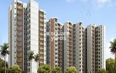 GLS Avenue 86 Featured Image