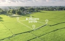 GLS Avenue City Featured Image