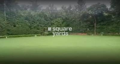 green-wood-city