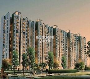 Imperia Aashiyara