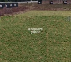 Ireo Savannah Featured Image