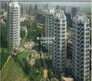Kohli One Housing Malibu Condominiums High Rise Flagship Image