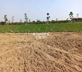 Meffier The Golden City