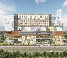 Navi The Leaf Featured Image