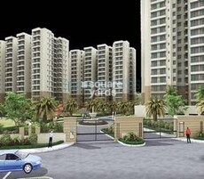 NBCC Green View Featured Image