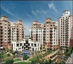 Orchid Gardens, Sector 54, Gurgaon
