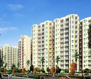 Orris Aster Court Video