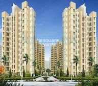 Orris Aster Court Video
