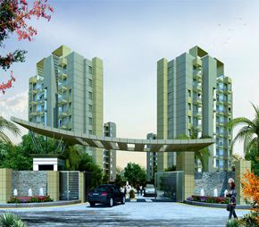 Orris Carnation Residency Video
