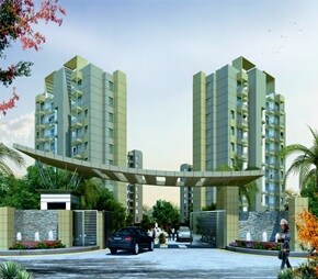 tn orris carnation residency project flagship