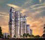 Orris The Blue Lagoon Flagship Image