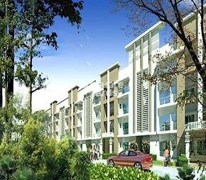 Pal Aqua Polis Marina Floors