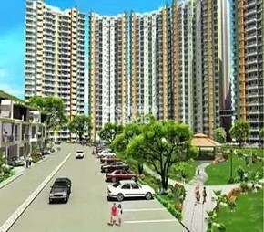 Pal City Park Neillia Elite