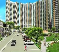 Pal City Park Neillia Elite Featured Image