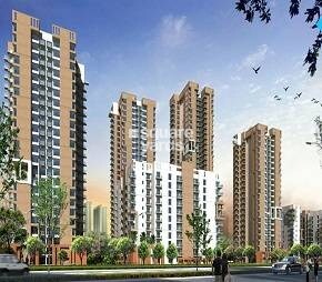 Pioneer Park Phase 1