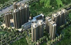 Pyramid Urban Homes Featured Image