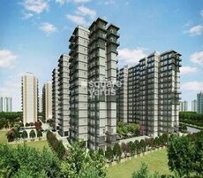 ROF Atulyas Featured Image