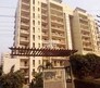 Royal Homez Flagship Image