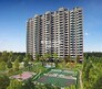 Sare Home Flagship Image