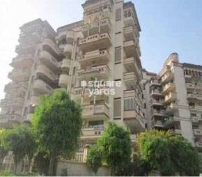 Sheeba Apartment