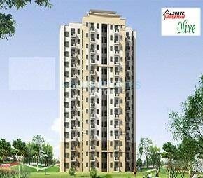Shree Vardhman Olive