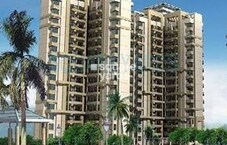 Sidhartha NCR Green Featured Image