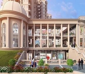 Signature Signum 36 Video