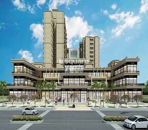 Signature Signum 37D III Video