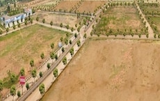 Spiti Palm Estate Featured Image