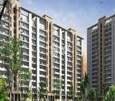 SS Mayfield Gardens Featured Image