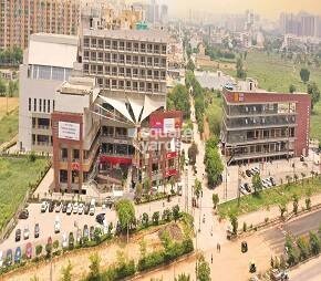 Trehan Iris Broadway