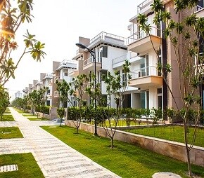 Tulip Ivory Villas