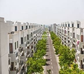 Vatika Premium Floors Video