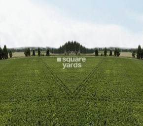 Vipul World Plots