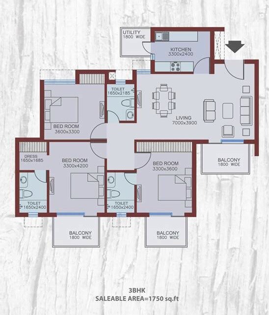3 BHK 1750 Sq. Ft. Apartment