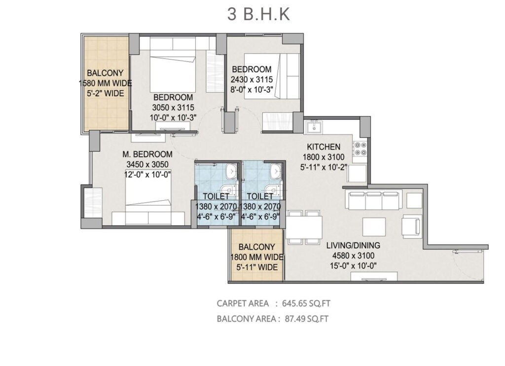 3 BHK 733 Sq. Ft. Apartment