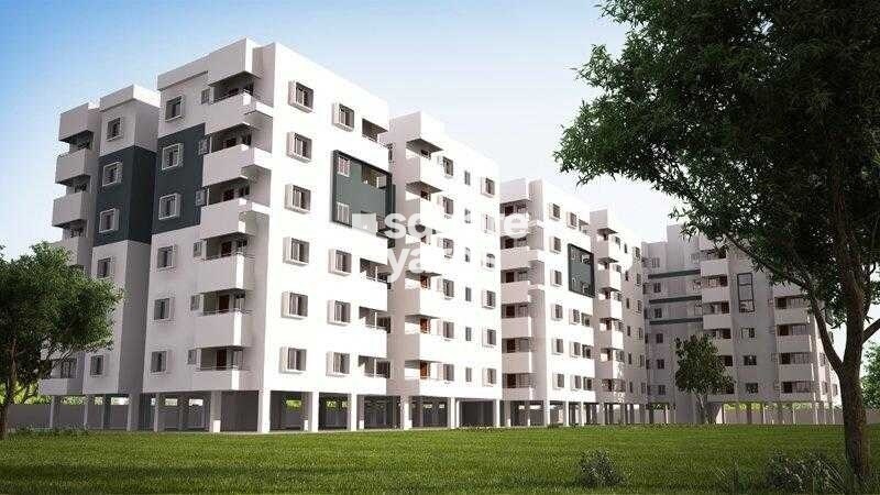 MP Palacia Woodstock