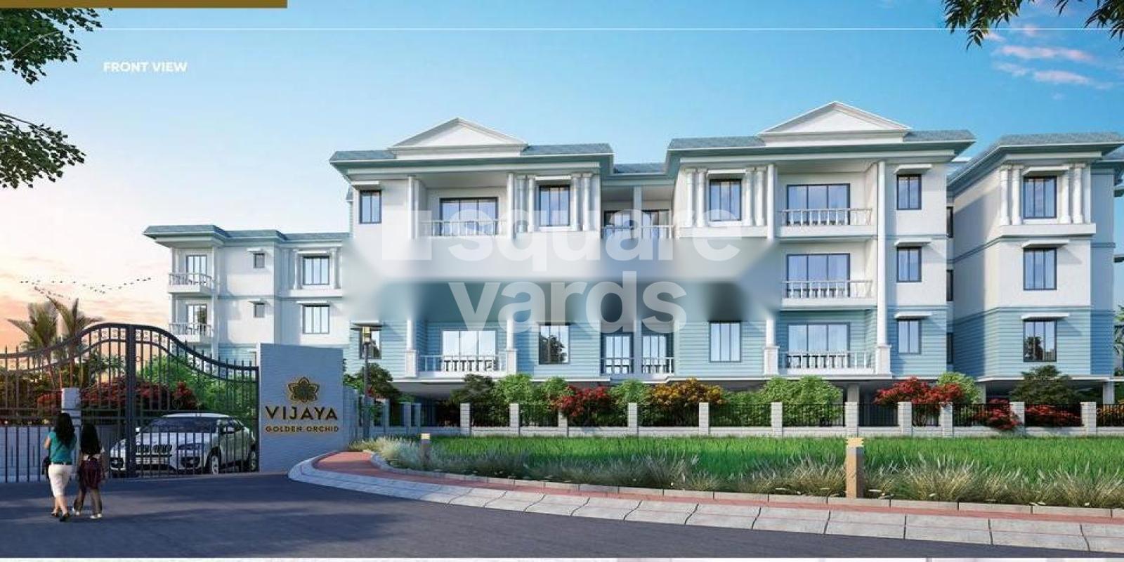 Vijaya Golden Orchid Featured Image