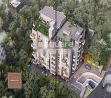 Aashi White House Featured Image