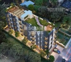 Inclts Orchhid Featured Image