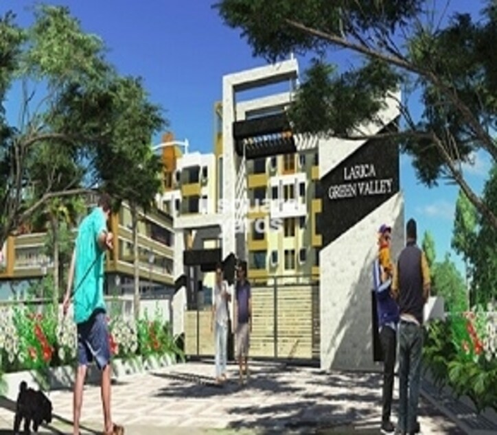 Larica Green Valley Cover Image