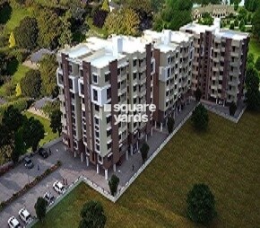 MP Palacia Woodstock