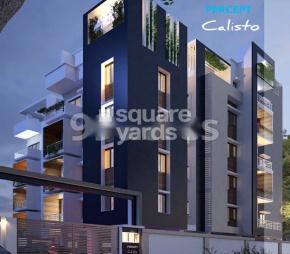 Percept Calisto