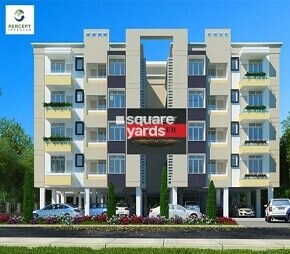 Percept Premier