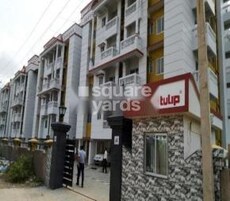 Protech Tulip Featured Image